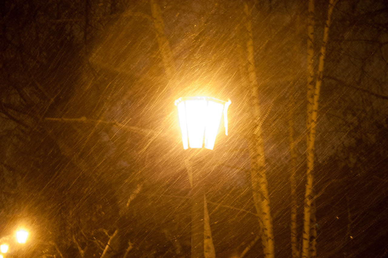 smart shades and lighting for gravenhurst cottages - photo