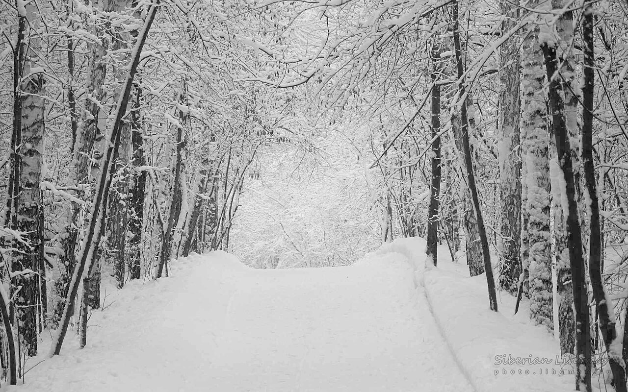 smart winterization for gravenhurst cottages - photo