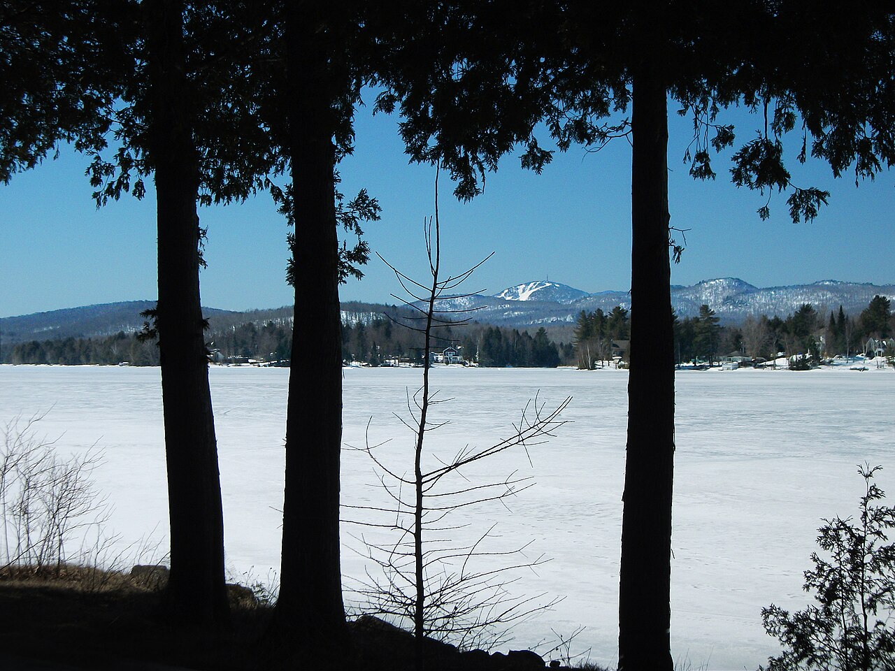 whole home audio for huntsville lake houses 2 - photo